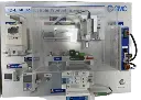 p6.webp