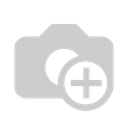 Recruiter Avatar